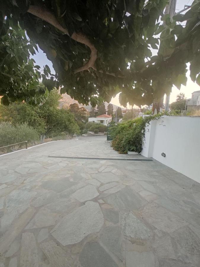 House Moschα Villa Andros Town Luaran gambar
